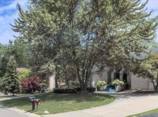 Karma B.'s lawn maintenance service result