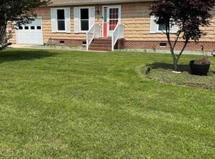 Laurie B.'s lawn care service result