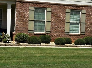 Caitlin K.'s landscaping services service result