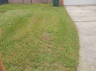 Neal W.'s lawn care services service result