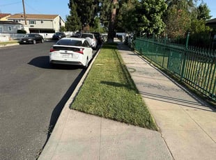 Becca L.'s grass cutting service result