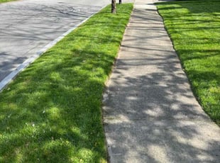 James Y.'s lawn care services service result