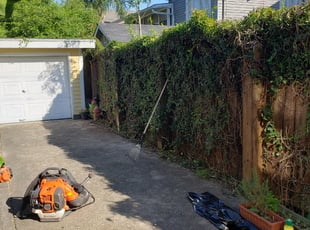 Jeff W.'s Bush Trimming service result