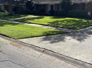 Jon F.'s turf maintenance service result