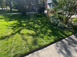 Andre O.'s lawn care services service result