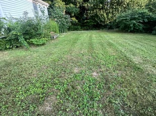 Graham L.'s lawn care services service result