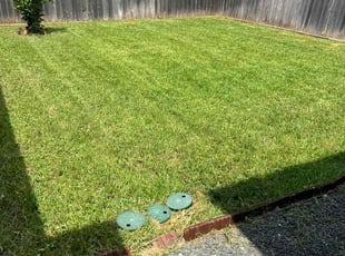 Alberta J.'s lawn maintenance service result