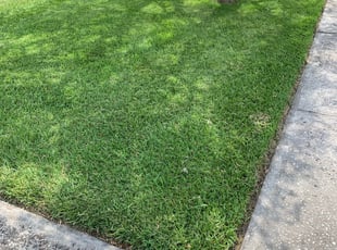 Marie M.'s lawn maintenance service result
