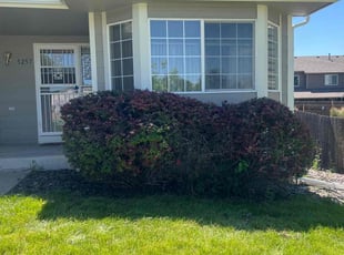 Kelli H.'s Bush Trimming service result
