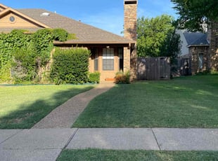 Stephanie C.'s lawn care service result