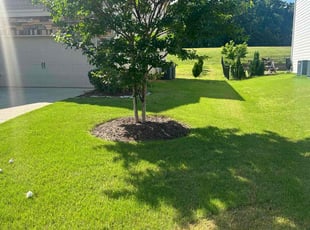 Alan M.'s lawn care service result