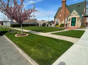 Mary R.'s lawn care services service result