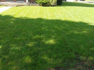 Richard J.'s lawn service service result