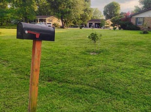 Victoria M.'s grass cutting service result