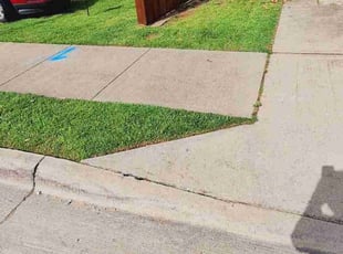 Virgil A.'s grass cutting service result