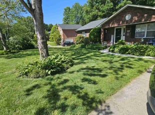 Roseann C.'s lawn maintenance service result