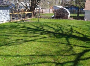 Ryan B.'s lawn service service result