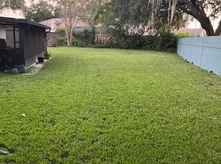 Sabrina A.'s lawn care service result