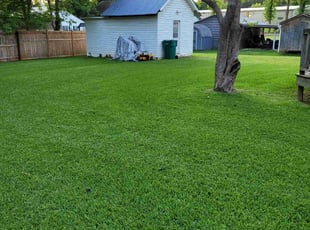 James B.'s lawn care service result
