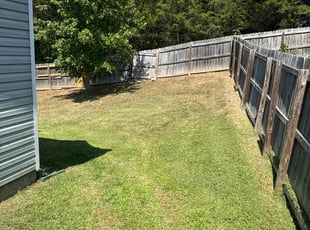 Meaghan C.'s grass cutting service result