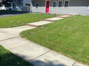 Fred B.'s lawn service service result