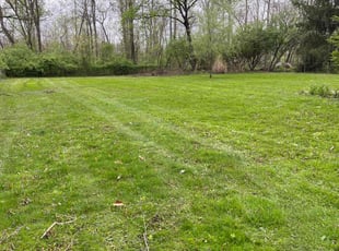 Elizabeth L.'s turf care service result