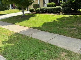 Susan E.'s lawn care services service result