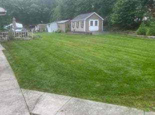 Edgar V.'s lawn care service result