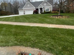 Pat A.'s grass maintenance service result