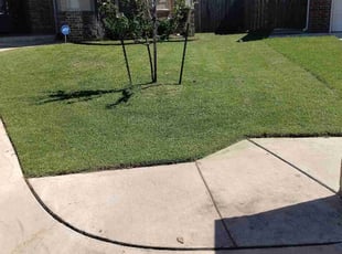 Scarlet A.'s lawn care service result