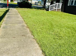 Pamela P.'s grass maintenance service result