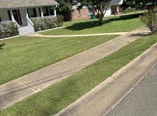 Catherine C.'s turf maintenance service result