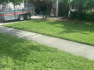 Robin M.'s lawn care service result