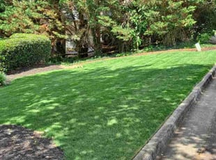 Joseph Z.'s grass maintenance service result