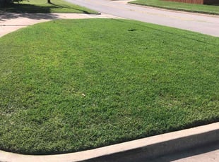 Katelyn B.'s lawn care services service result