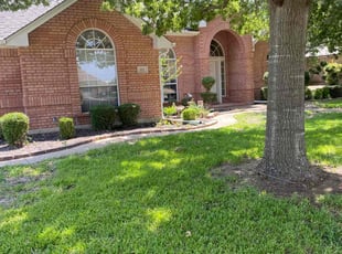 Donna H.'s turf care service result