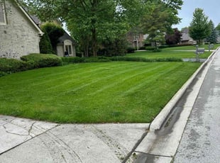 Archie B.'s turf care service result