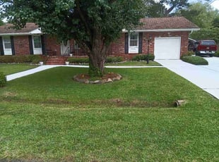 Matthew R.'s grass cutting service result