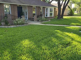 Cynthia A.'s lawn care services service result