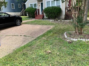Bruce P.'s lawn care service result