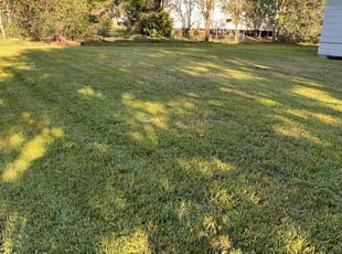 Darlene B.'s lawn maintenance service result
