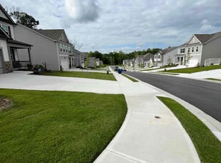 Daphane A.'s grass maintenance service result
