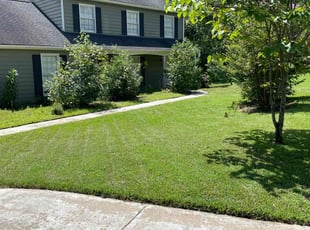 Iveren L.'s grass cutting service result