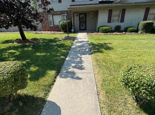 Jenn T.'s grass cutting service result