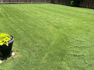 Mary S.'s lawn care services service result