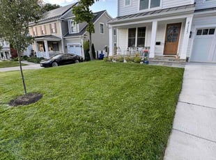 Susan C.'s lawn maintenance service result