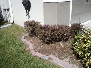 Hestella R.'s Bush Trimming service result