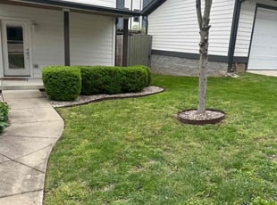 Jordan D.'s lawn service service result