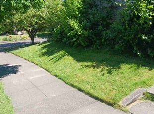 Tosha B.'s grass maintenance service result