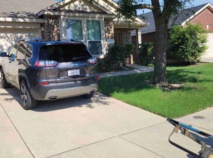 Michael B.'s landscaping service result
